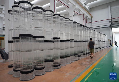 从“小作坊”到“小巨人” 民企竞逐“专精特新”技术开发之路